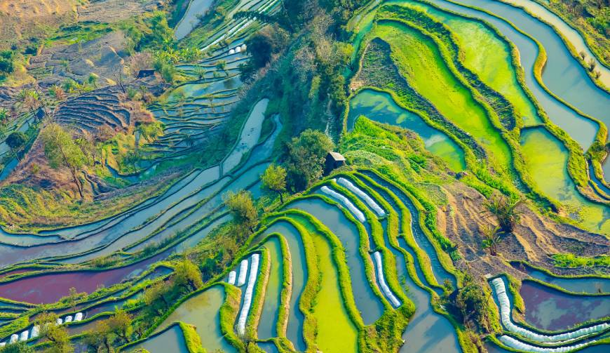 宝妈必备神器：青川县产品视频拍摄轻松育儿好帮手