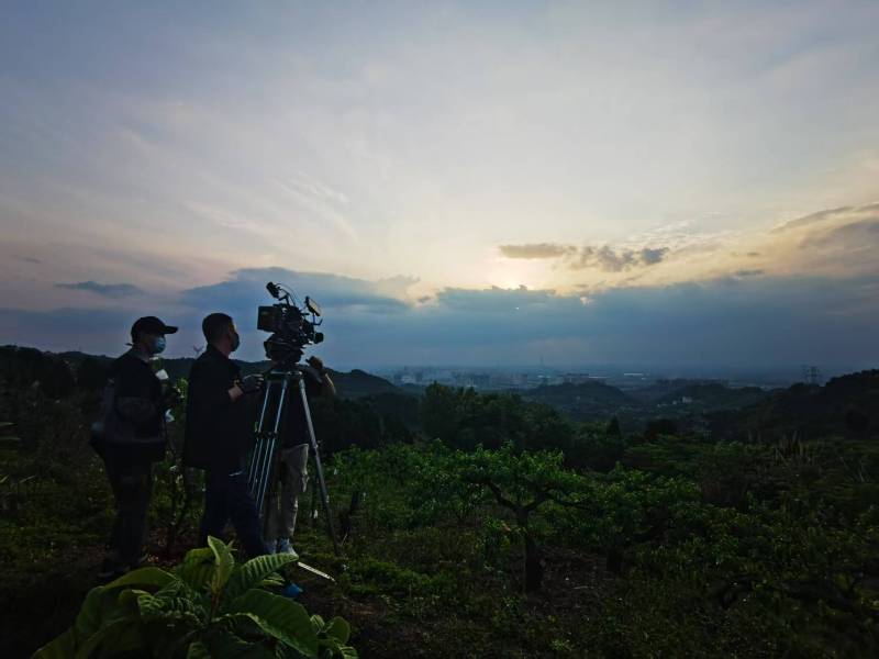 聚焦青川县产品宣传视频拍摄公司，用专业实力铸就品牌传播传奇